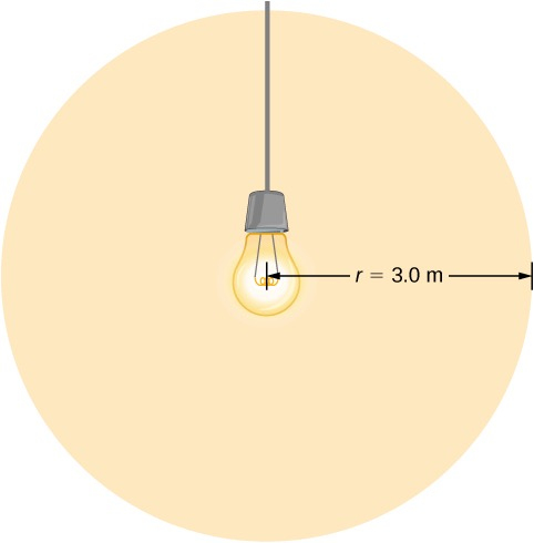 bulb's radius