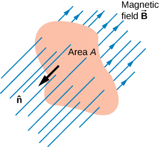 magnetic field