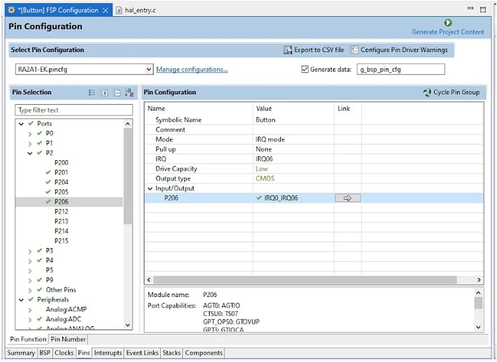 Figure 4 - P206 Pin Configuration Figure 4 - P206 Pin Configuration